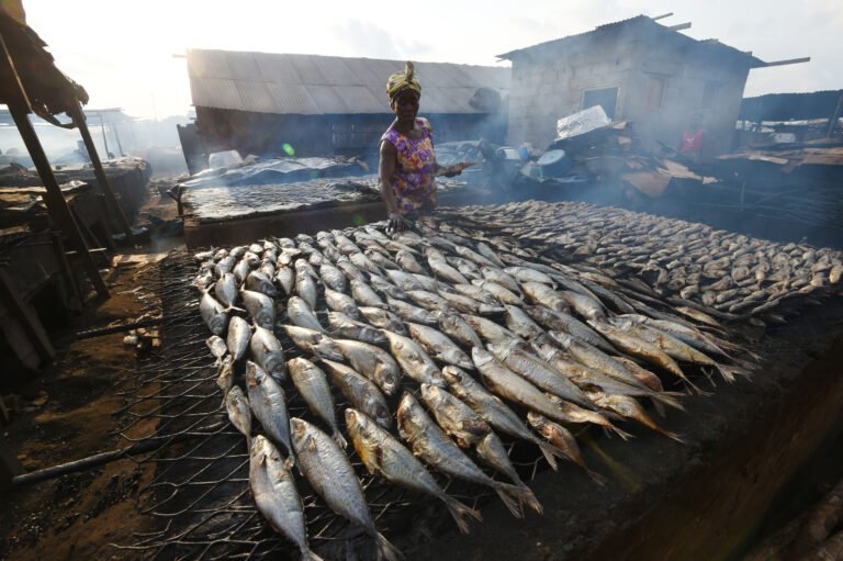 Baisse globale de la faim dans le monde avec une accentuation en Afrique et Asie de l’ouest